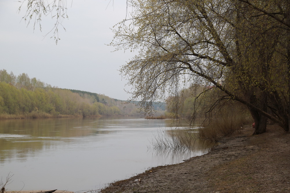 Как территория выглядит сейчас