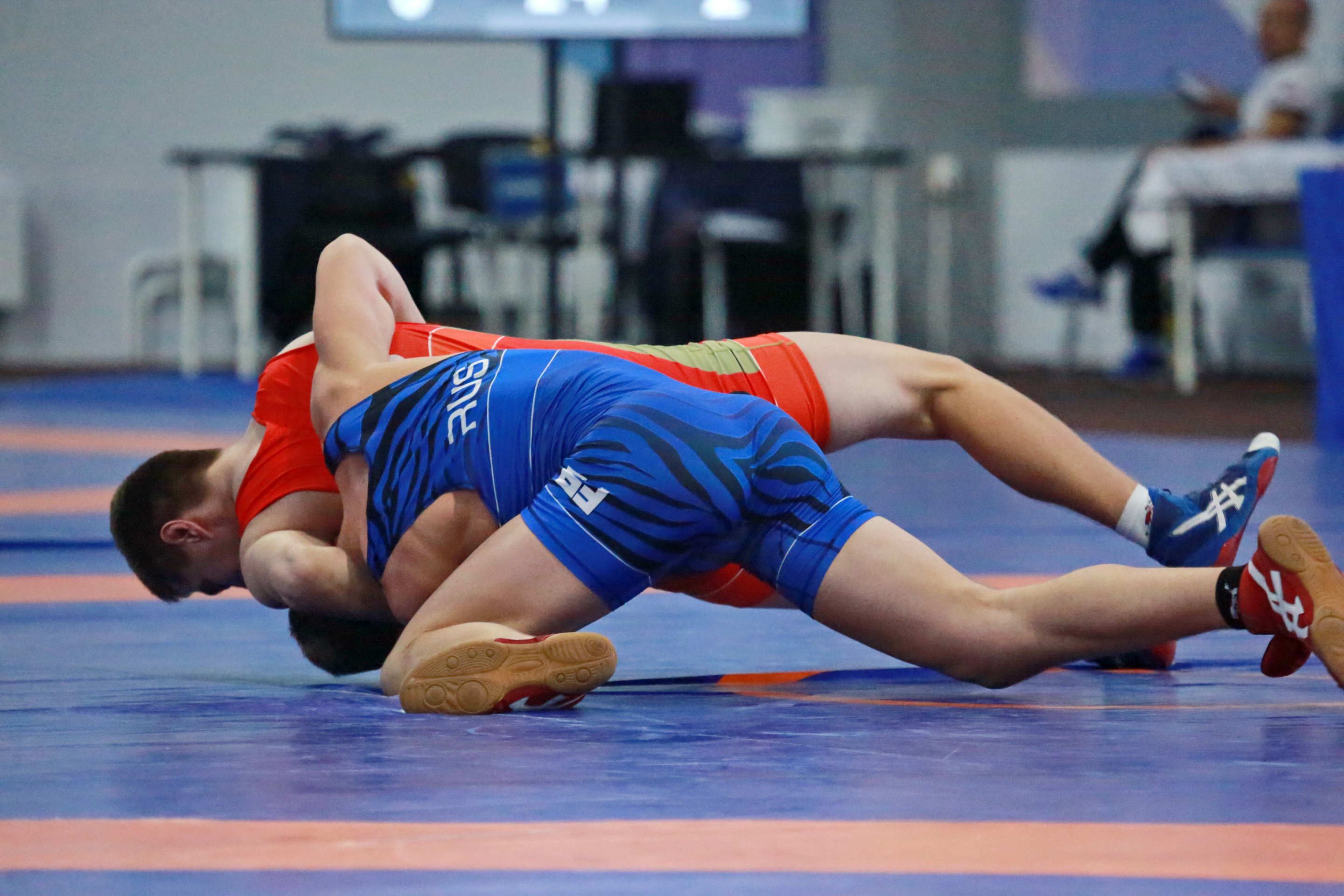 Турнир по греко-римской борьбе «Центр державы». Новосибирск, ноябрь 2022 года