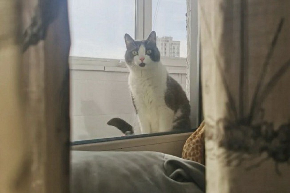 Василий-Колбасилий