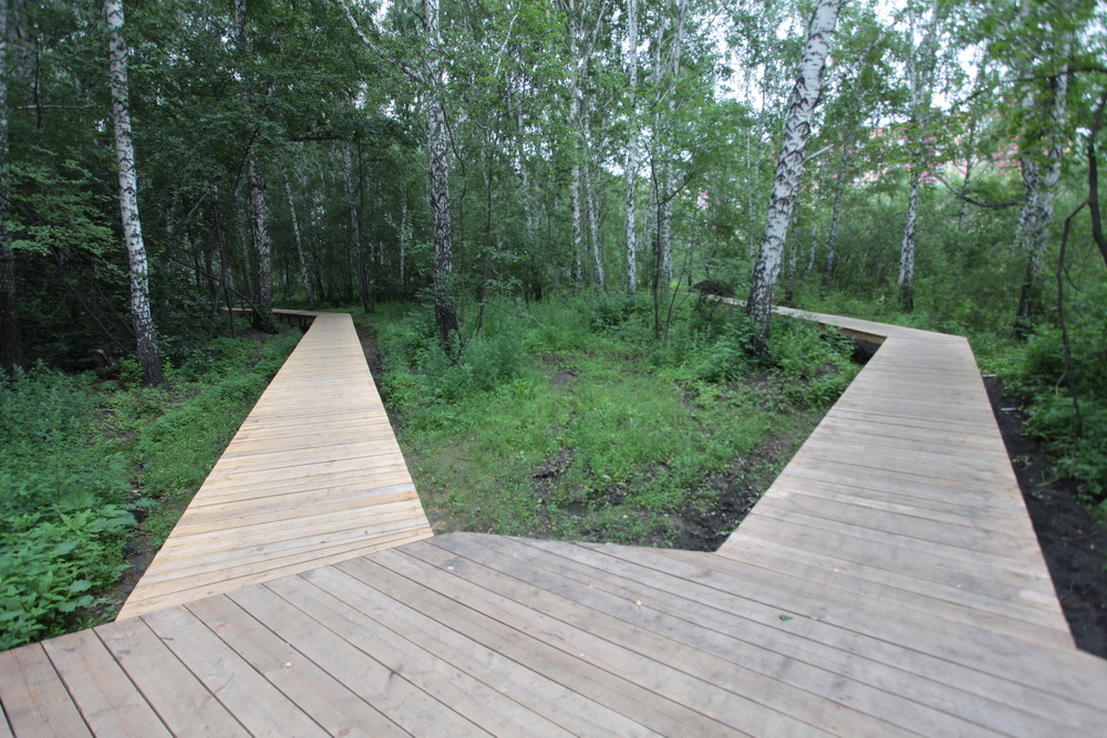 Будущий парк у Каменки. Июль 2023 года