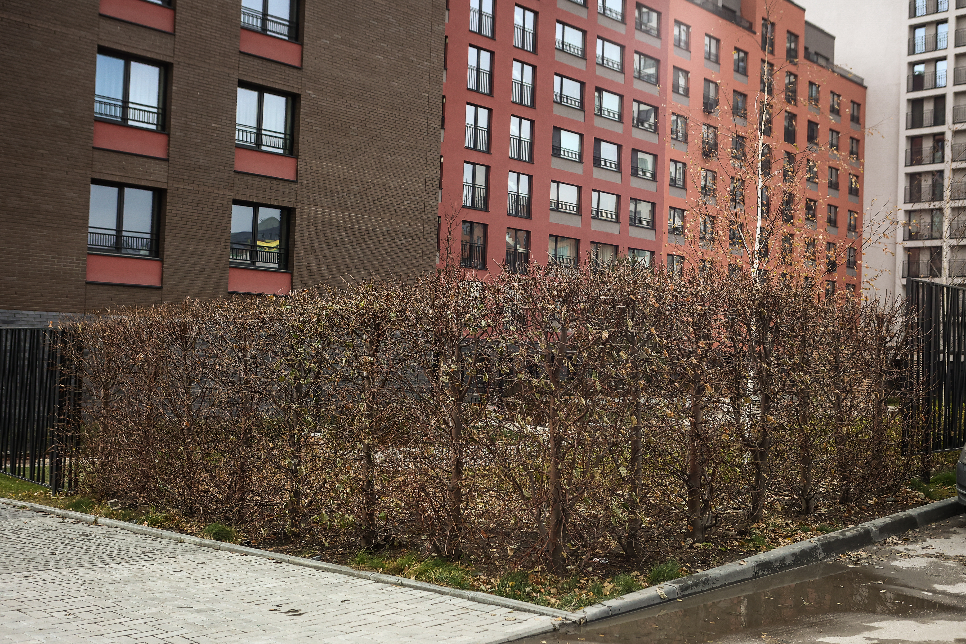 «Европейский берег»