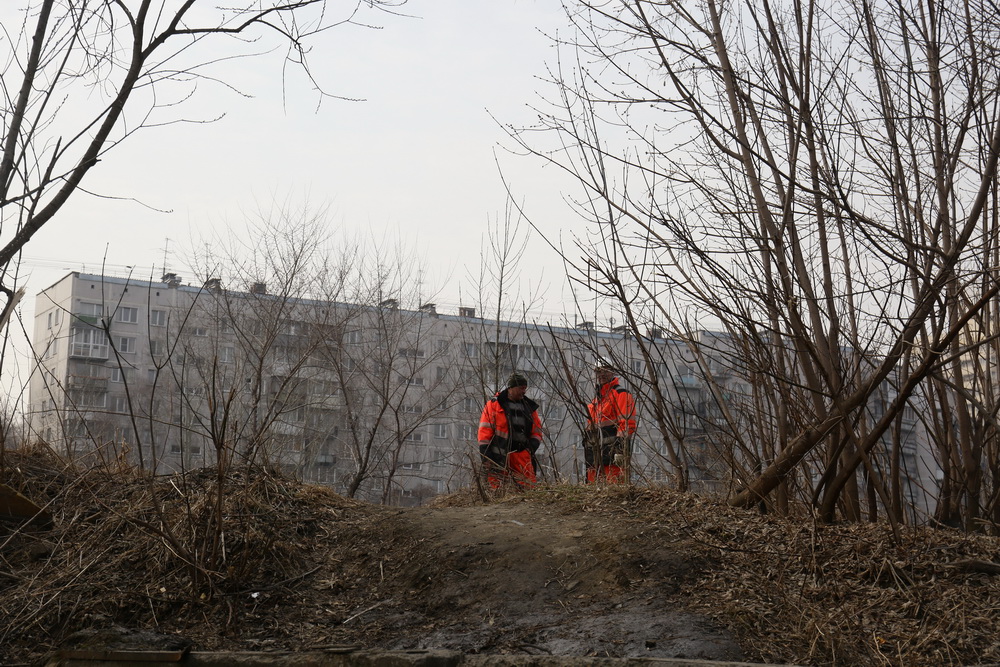 Пойма реки Каменки. Апрель 2022 года