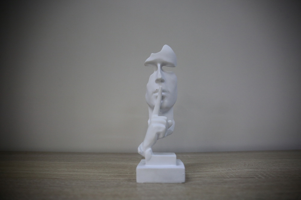 Модельная библиотека имени Салтыкова-Щедрина на Красном проспекте