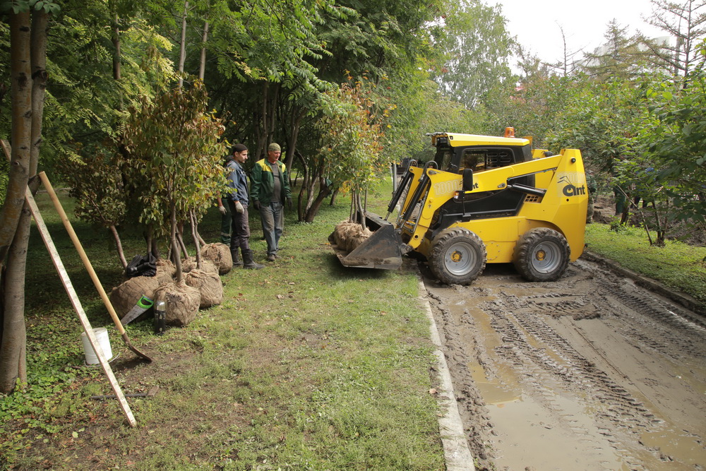 Зелёную стену из 77 лип создают в сквере Героев Революции. Август 2020 года