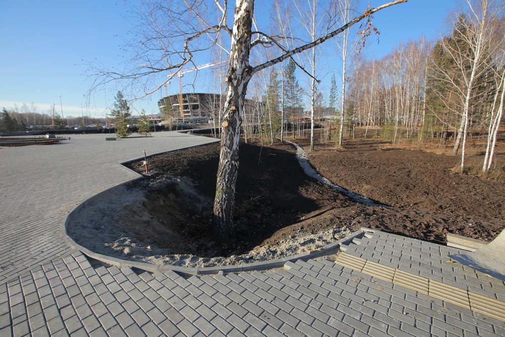 Создание парка возле нового ЛДС. Октябрь 2021 года