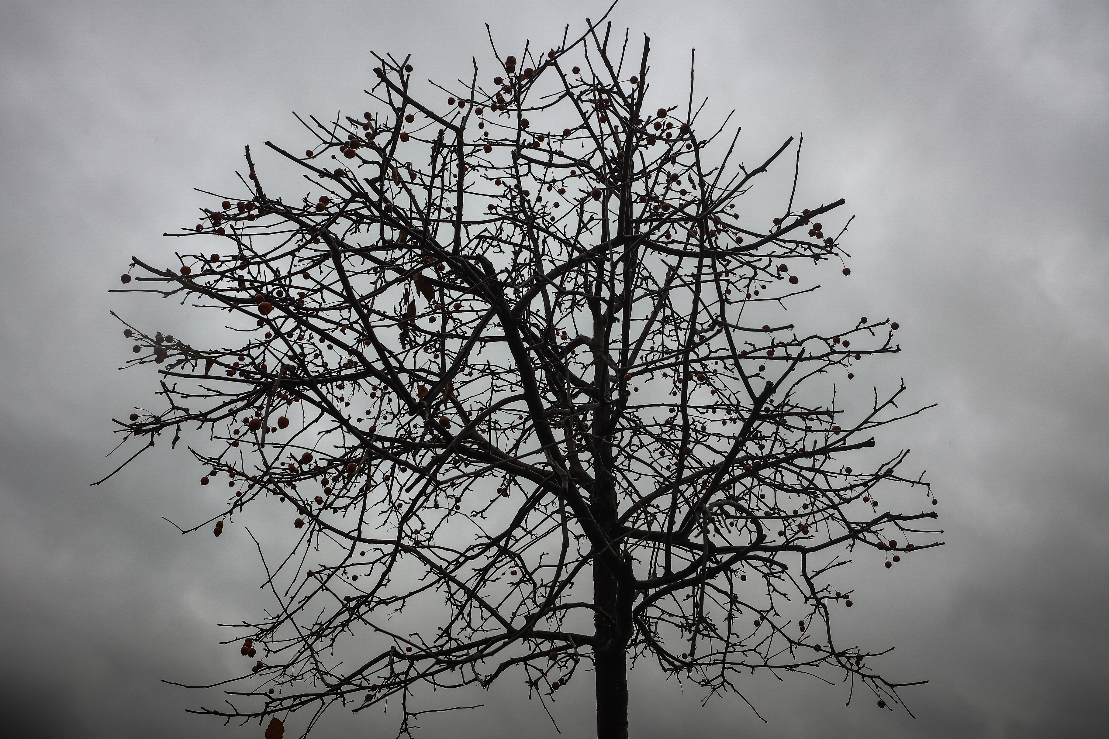 Михайловская набережная