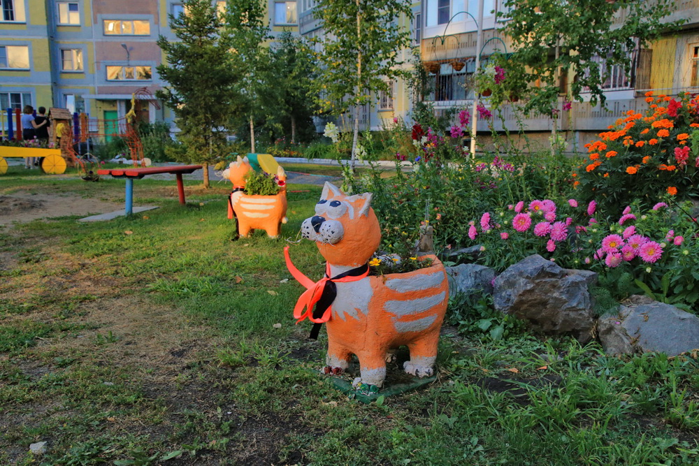 Двор дома на ул. Лесосечной, 5