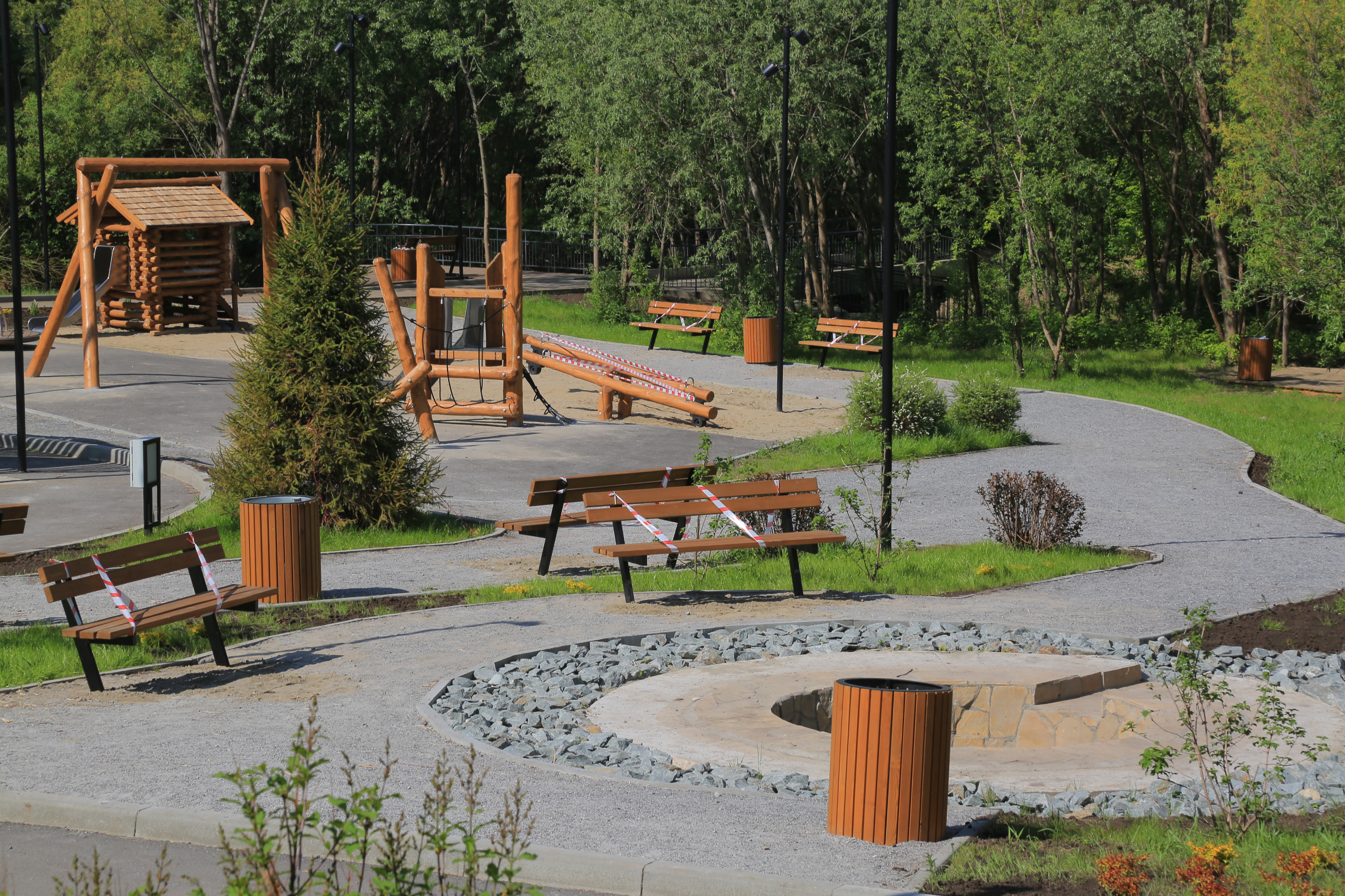 Ельцовский парк (июнь 2023 года)