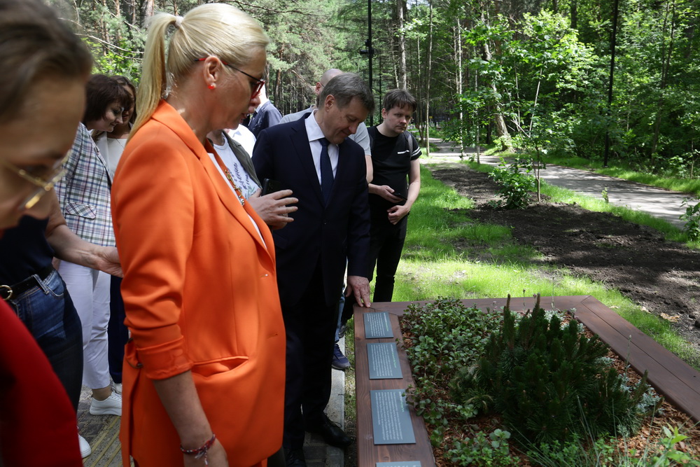 Заельцовский парк. Июнь 2022 года