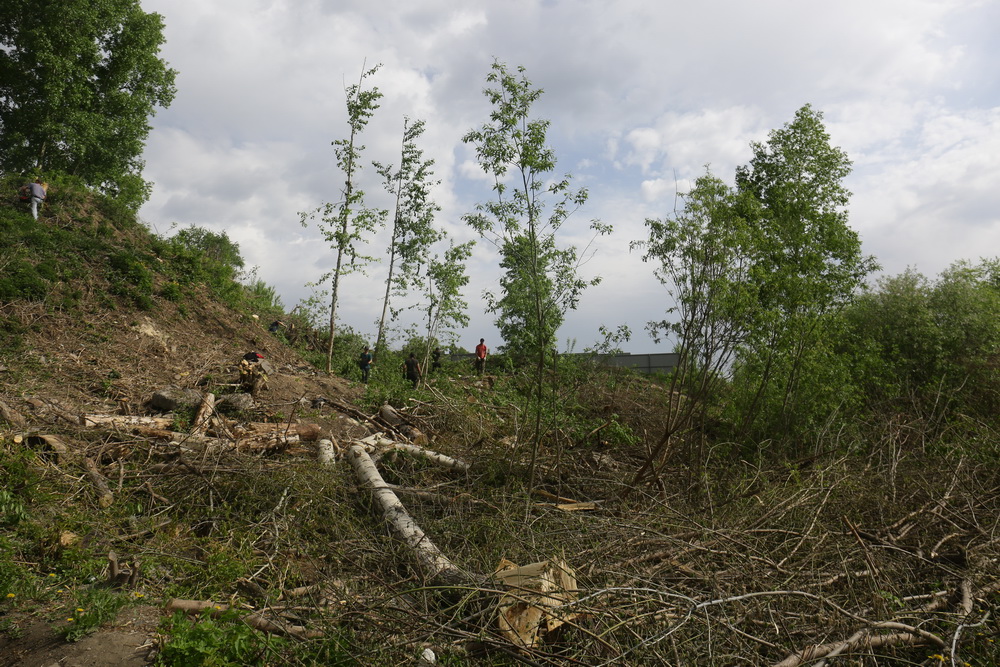 Территория будущего парка в пойме Каменки. Май 2022 года