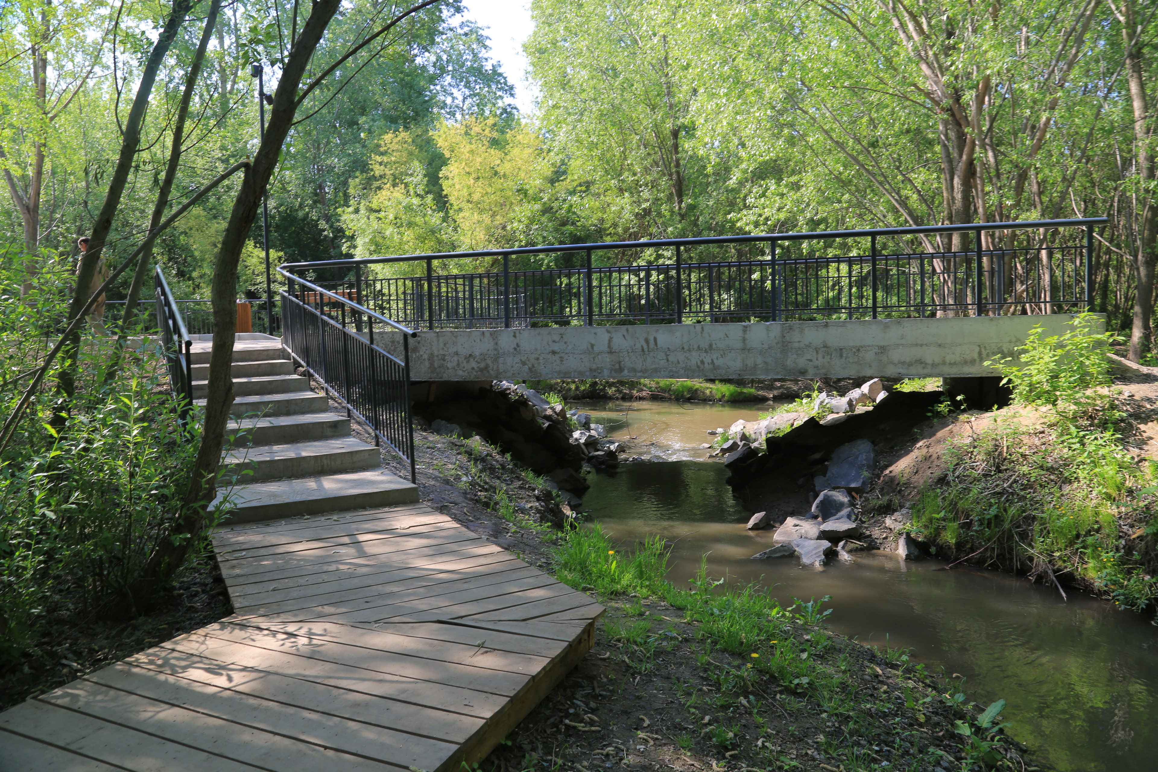 Ельцовский парк (июнь 2023 года)