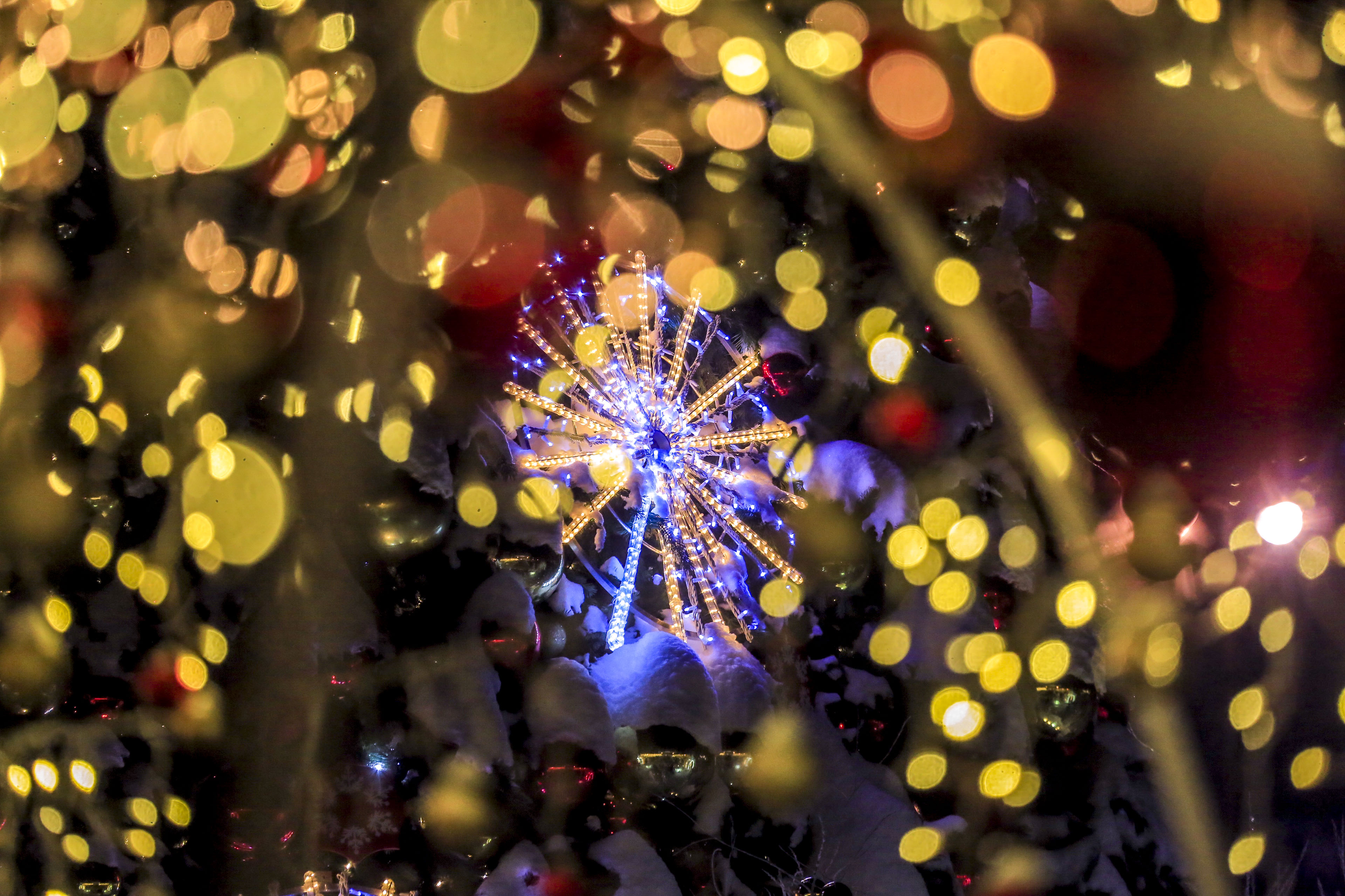 Новосибирск новогодний: Театральный сквер