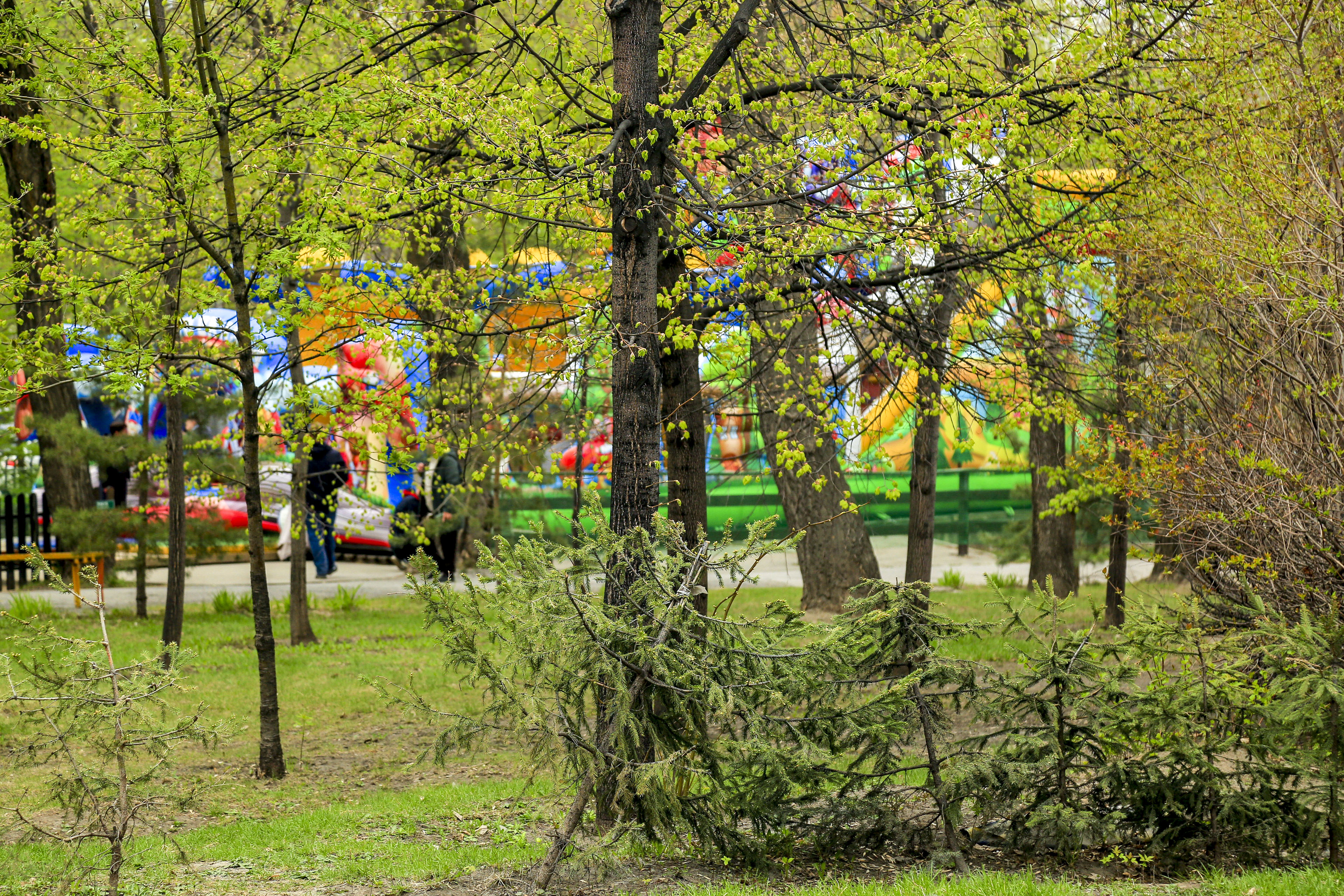 Так парк Кирова выглядит сейчас. Май 2023 года