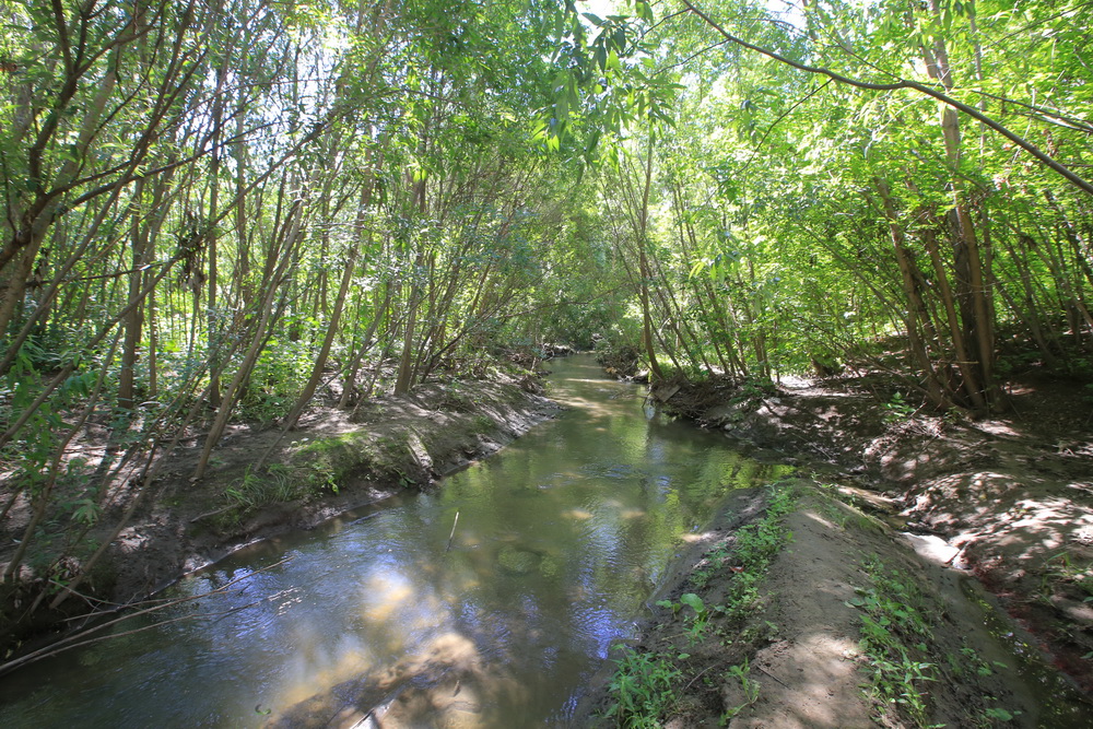 Благоустройство будущего парка в пойме Ельцовки. Июль 2022 года