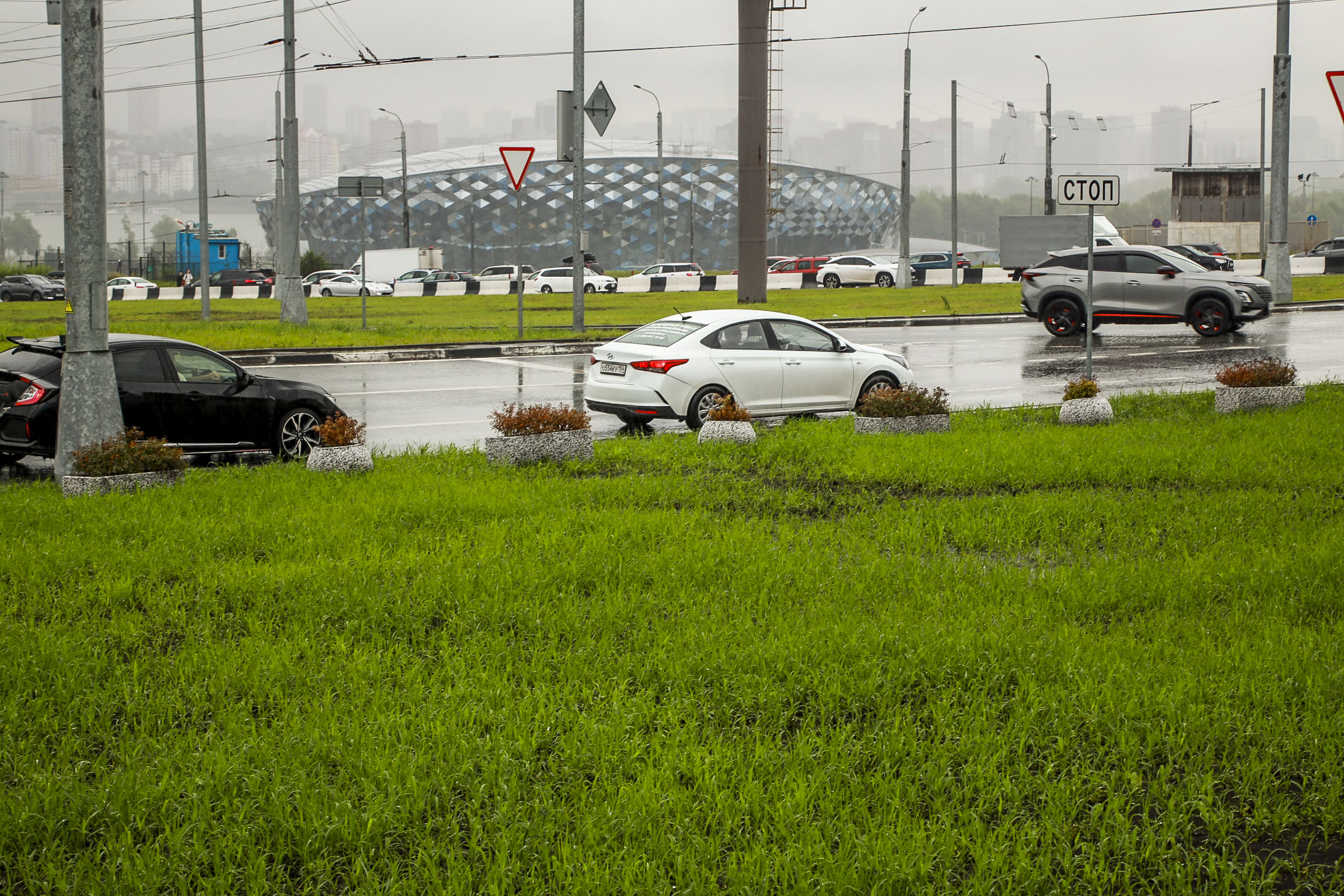 Газон на площади Лыщинского