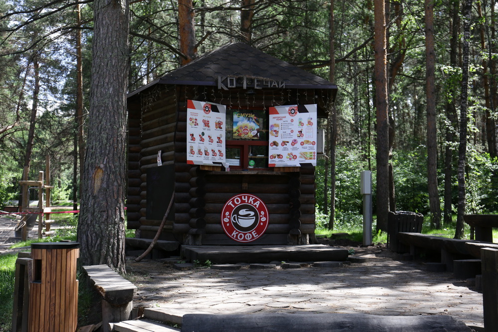 Заельцовский парк. Июнь 2022 года