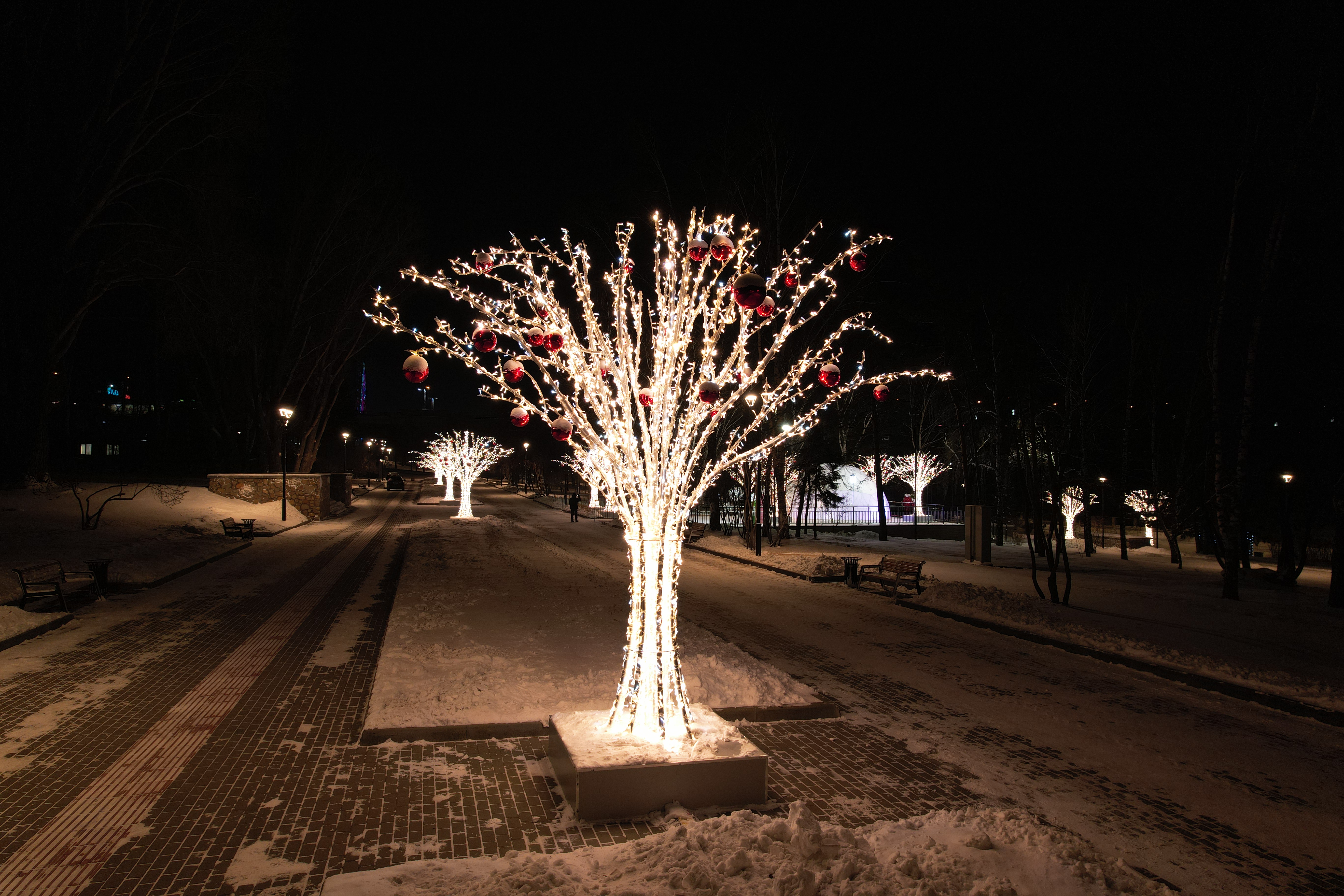 Новосибирск новогодний: Михайловская набережная