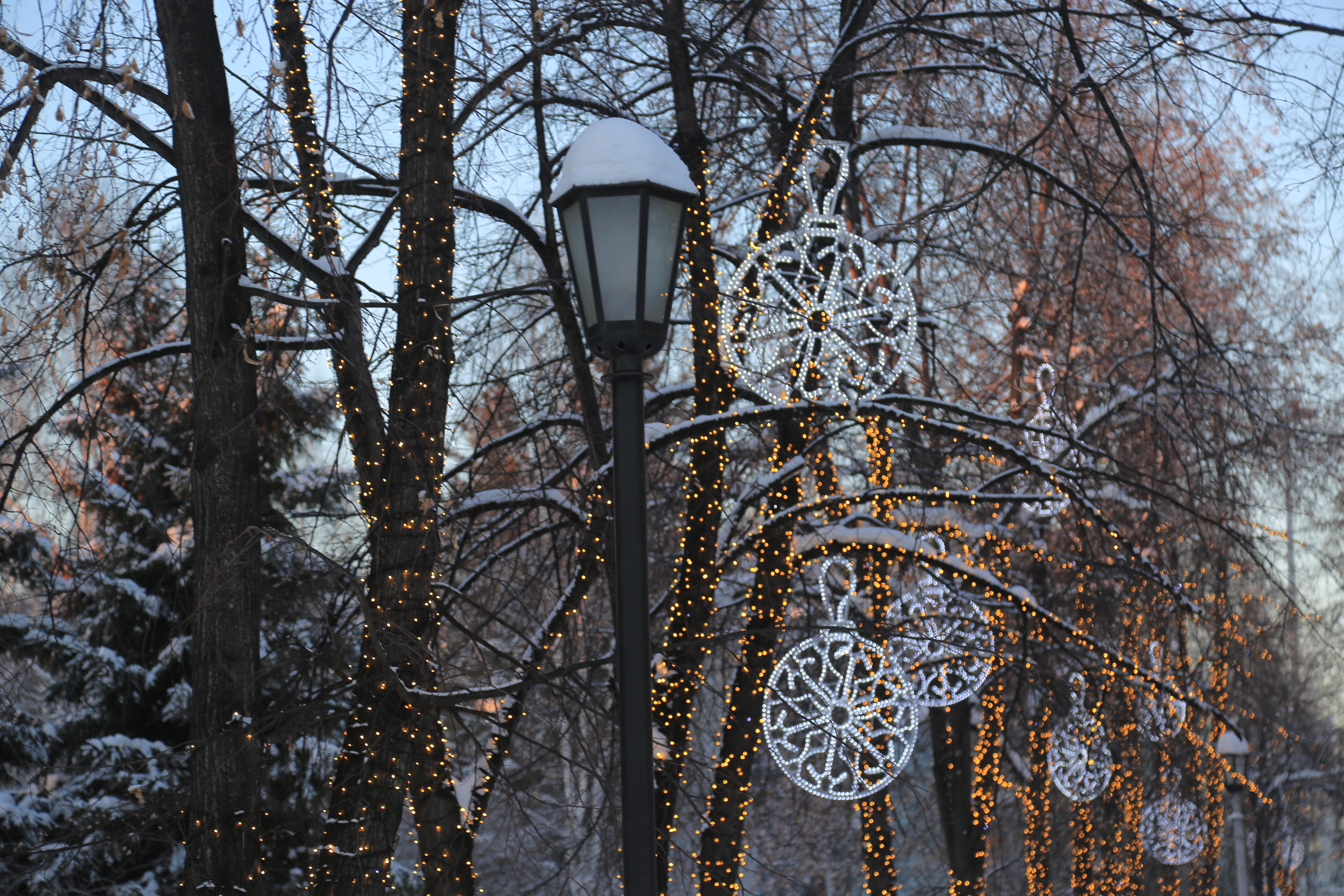 Новосибирск новогодний: Первомайский сквер