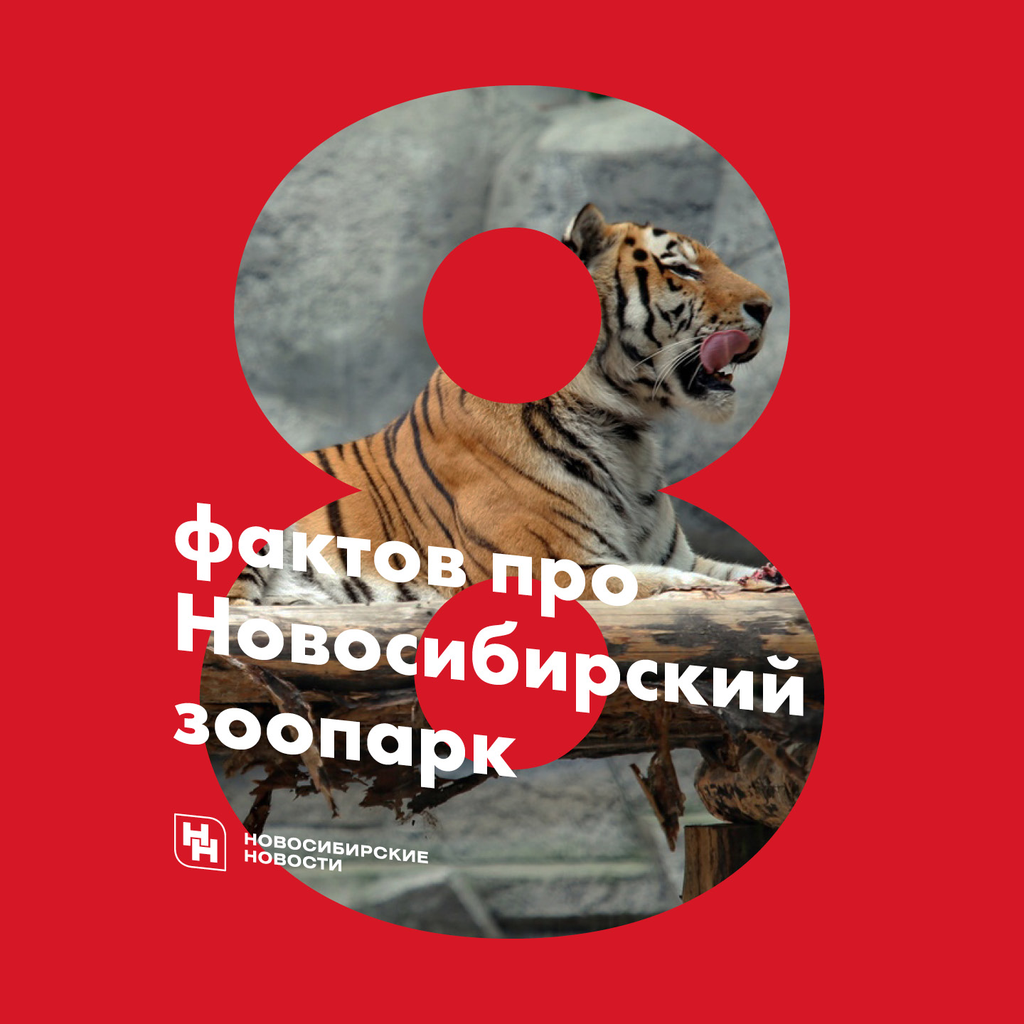 8 фактов про Новосибирский зоопарк