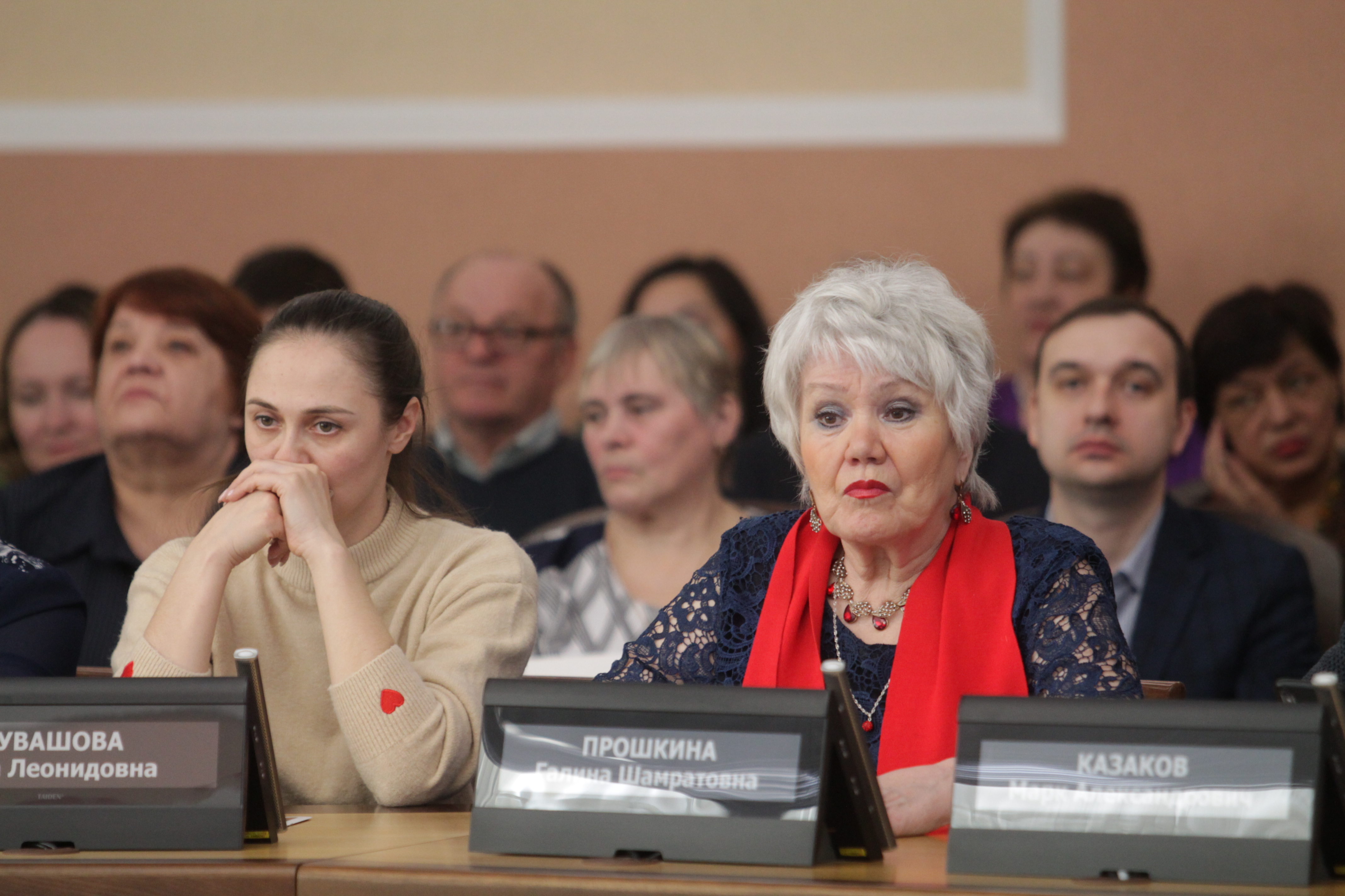 На консультативном совете по территориальному общественному самоуправлению Новосибирска