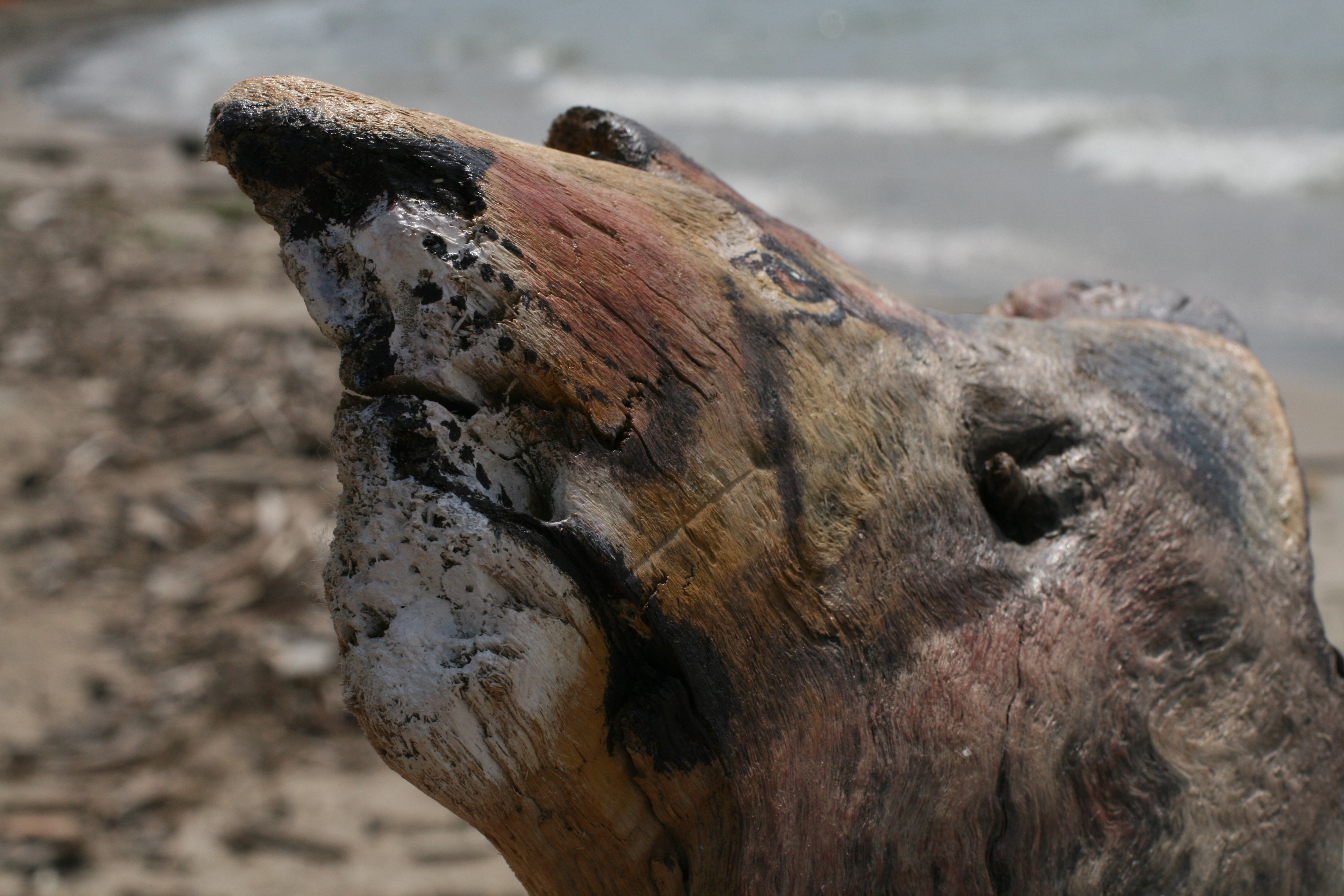 Сёрферский городок Виндтаун