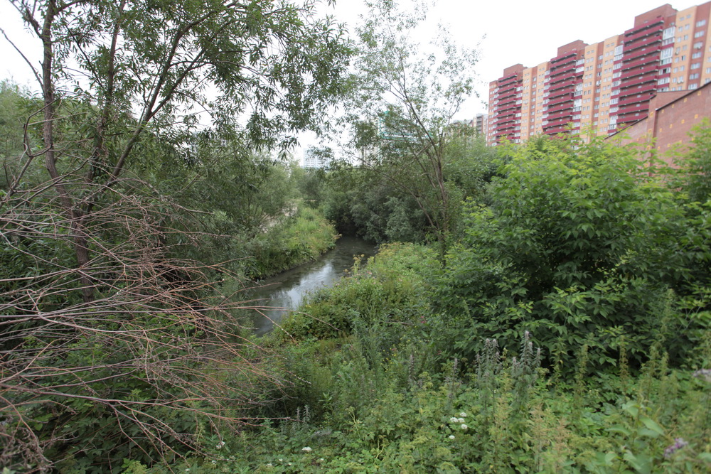 Будущий парк у Каменки. Июль 2023 года