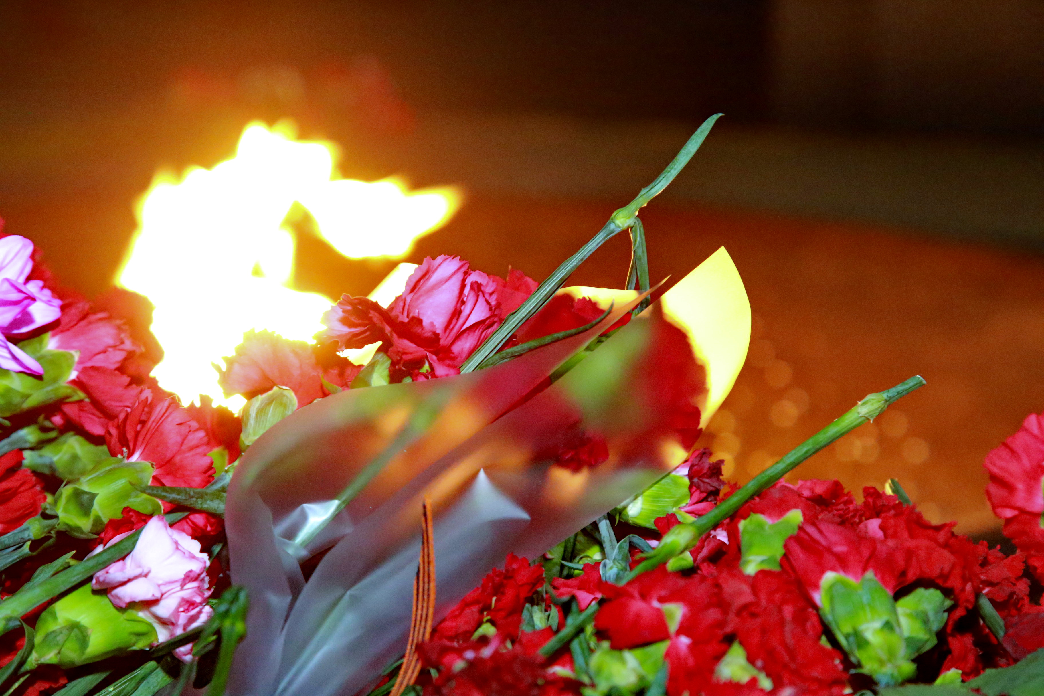 Акция «Свеча памяти» в сквере Славы. 8 мая 2022 года