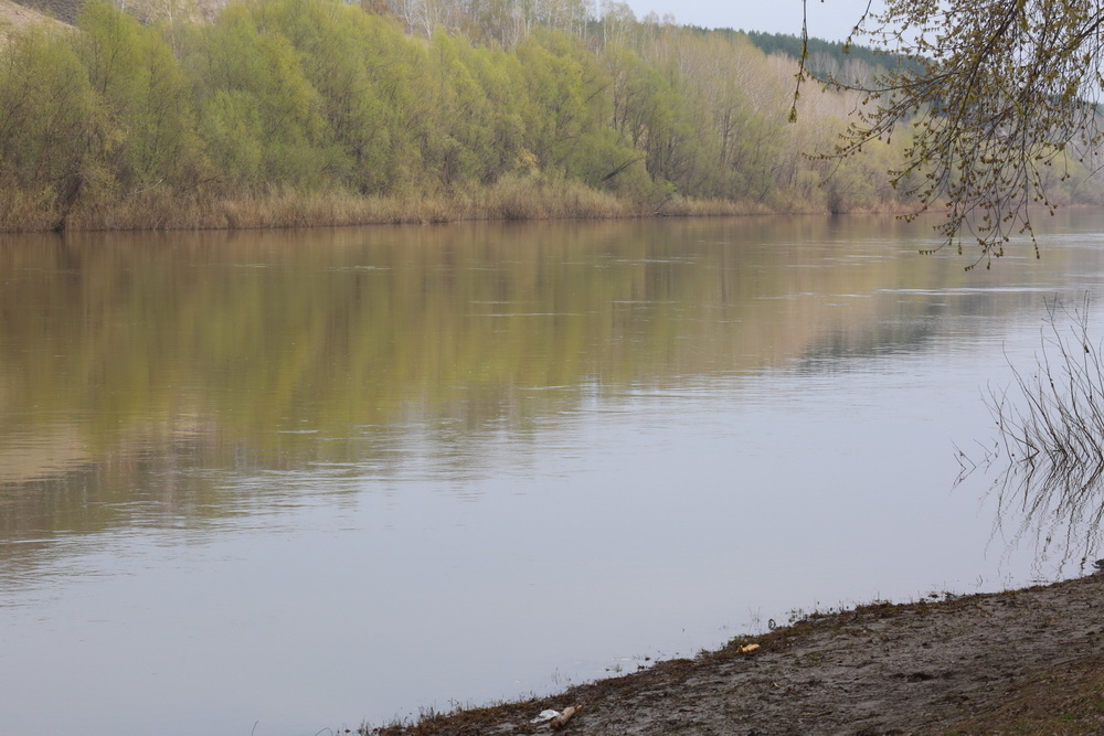 Как территория выглядит сейчас