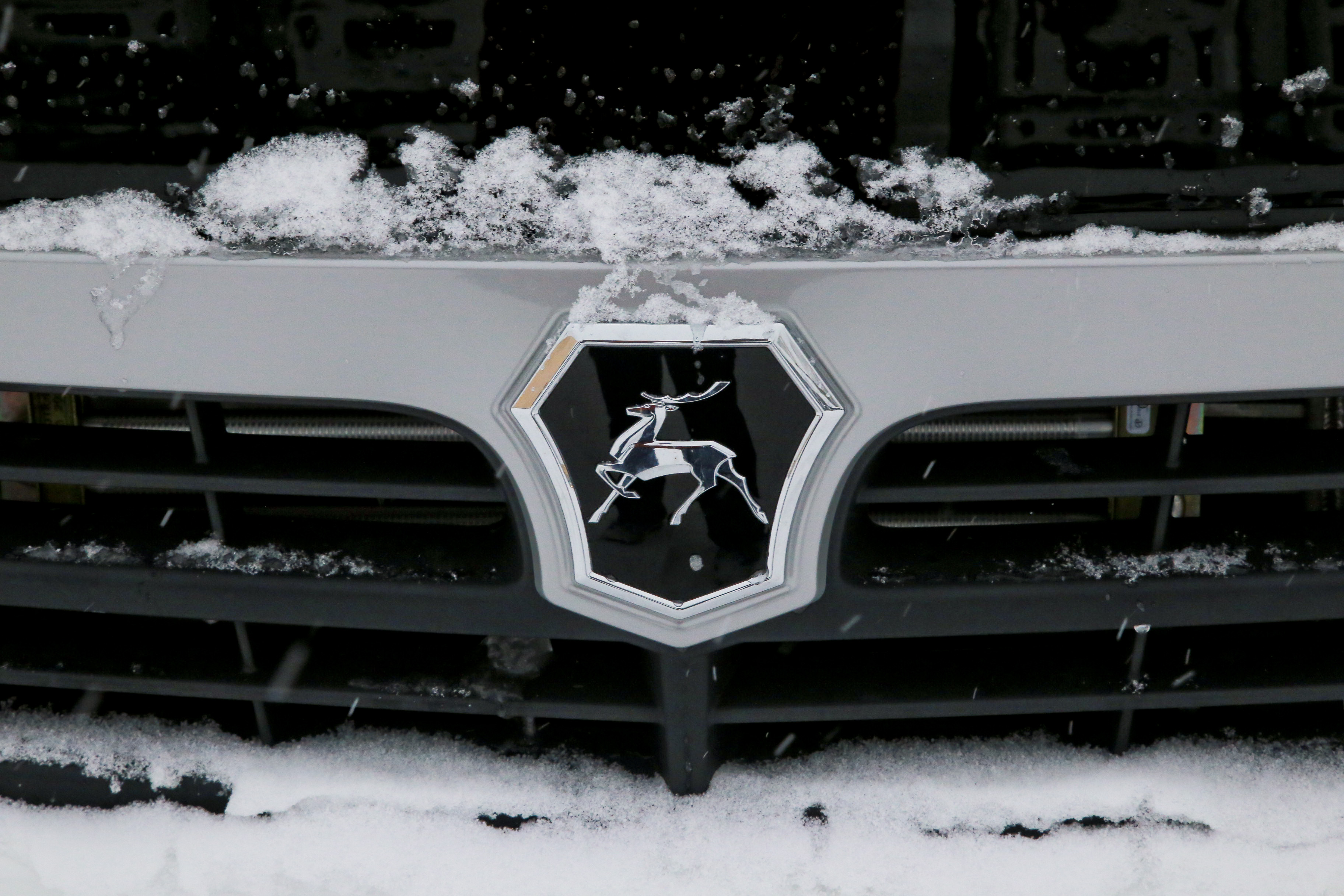 Новые автобусы «Вектор». Декабрь 2021 года