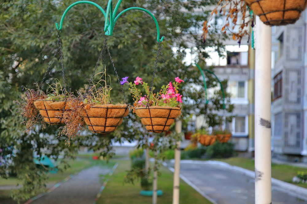 Двор дома на ул. Лесосечной, 5