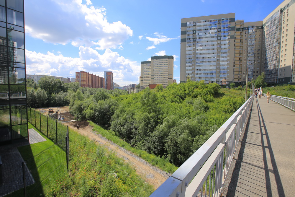 Благоустройство будущего парка в пойме Ельцовки. Июль 2022 года