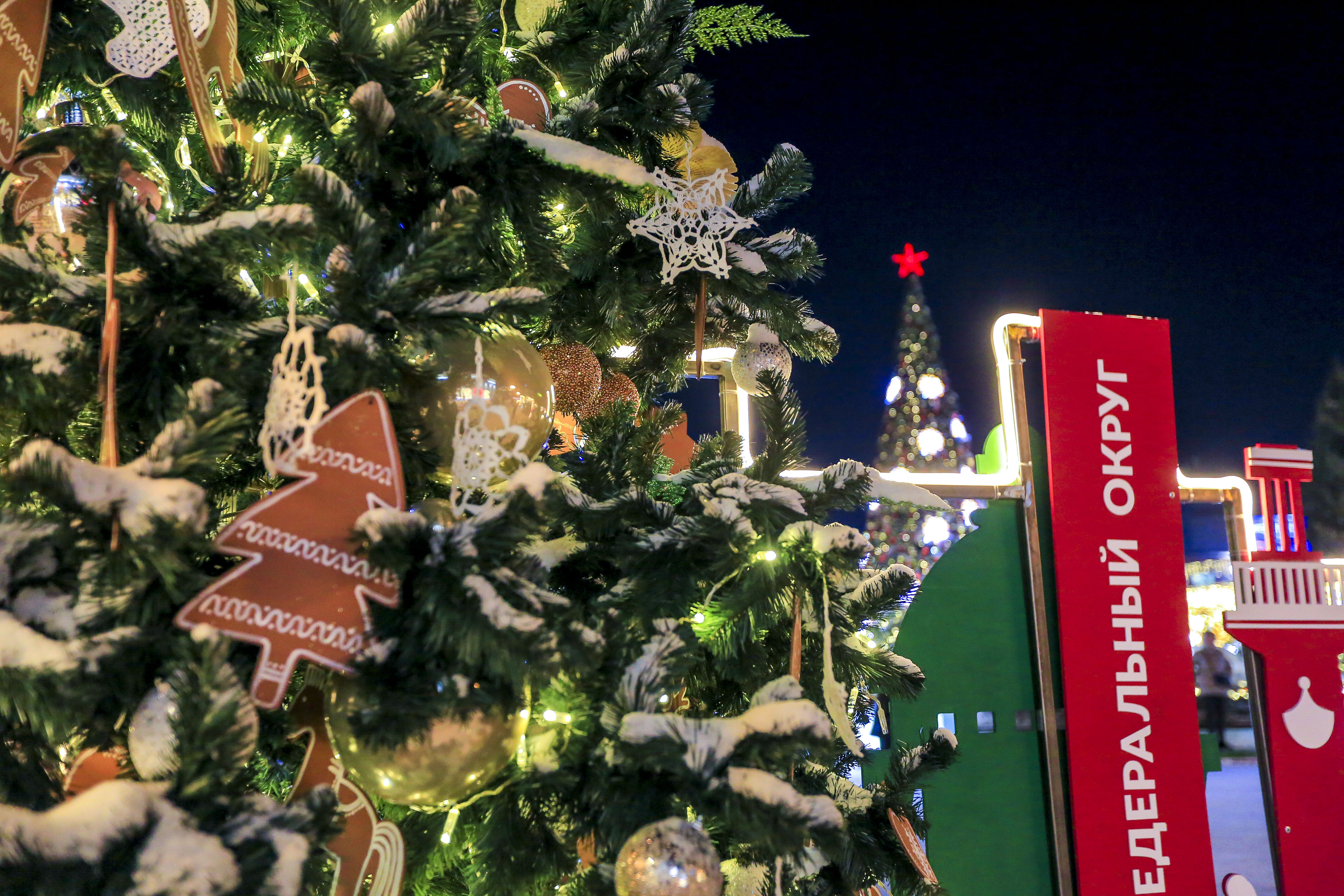 Новосибирск новогодний: Театральный сквер