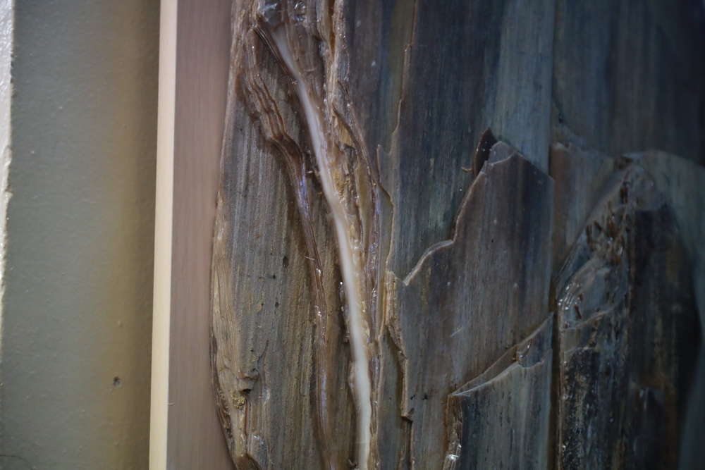 Окаменелое дерево