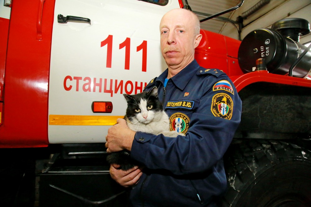 Кот Гидрант