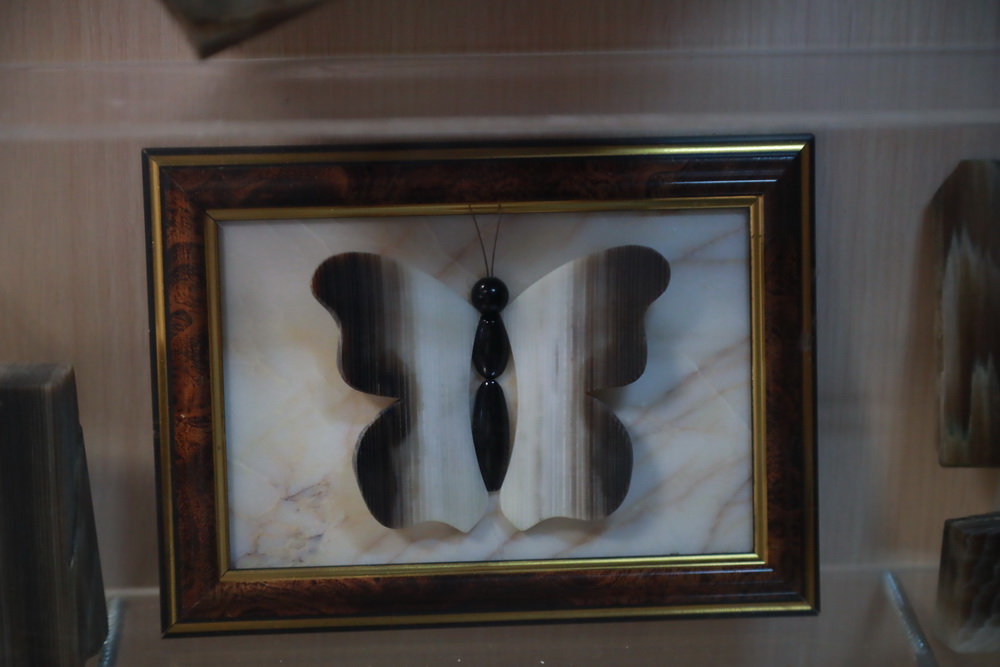 Окаменелое дерево