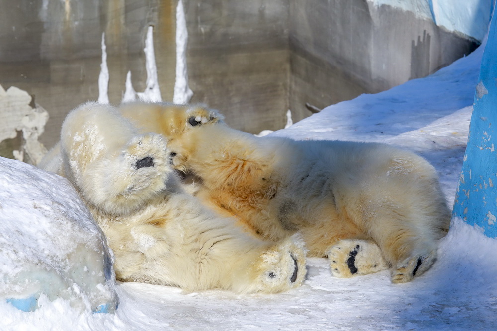 Кай и Герда после двухлетней разлуки