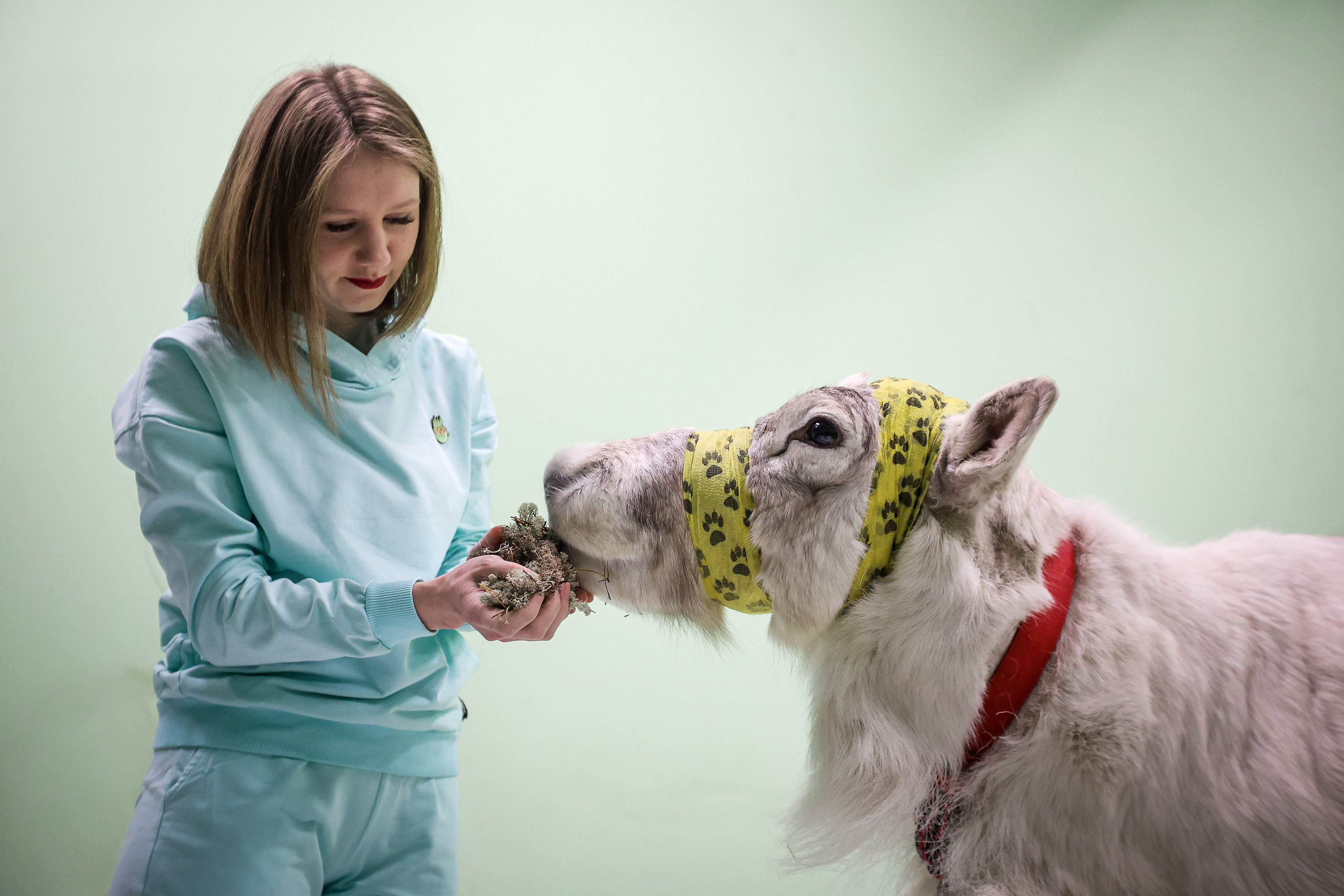 Северный олень Назым с хозяйкой Галиной