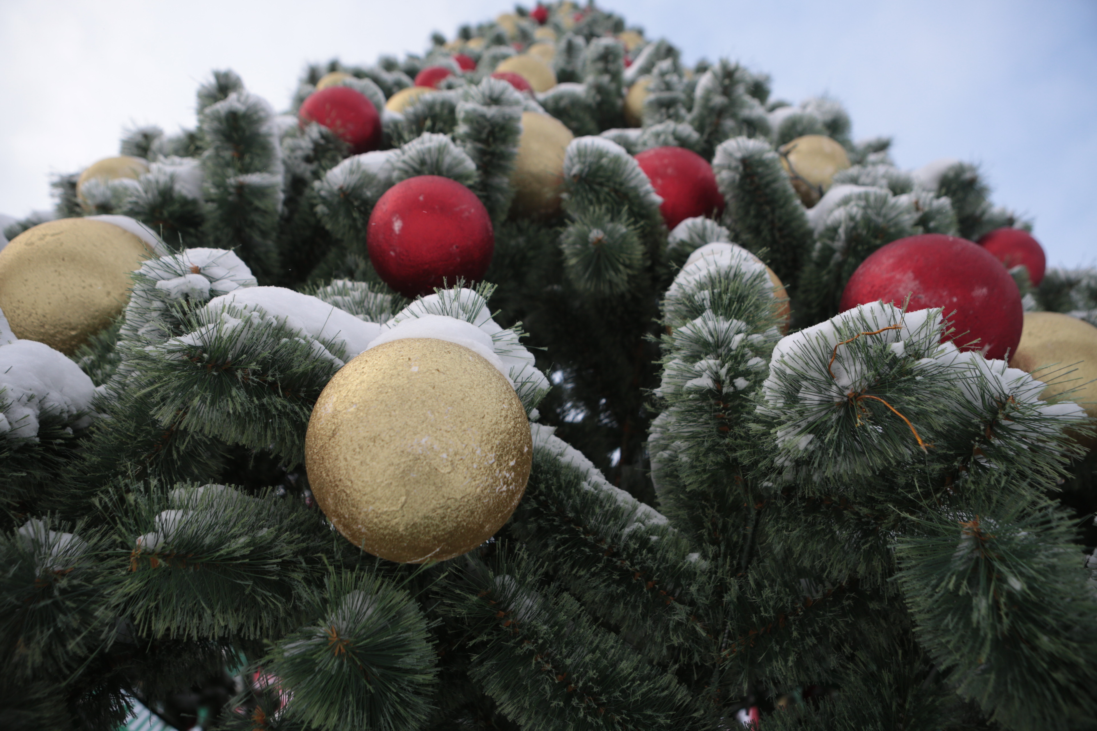 Ёлка у ККК имени Маяковского