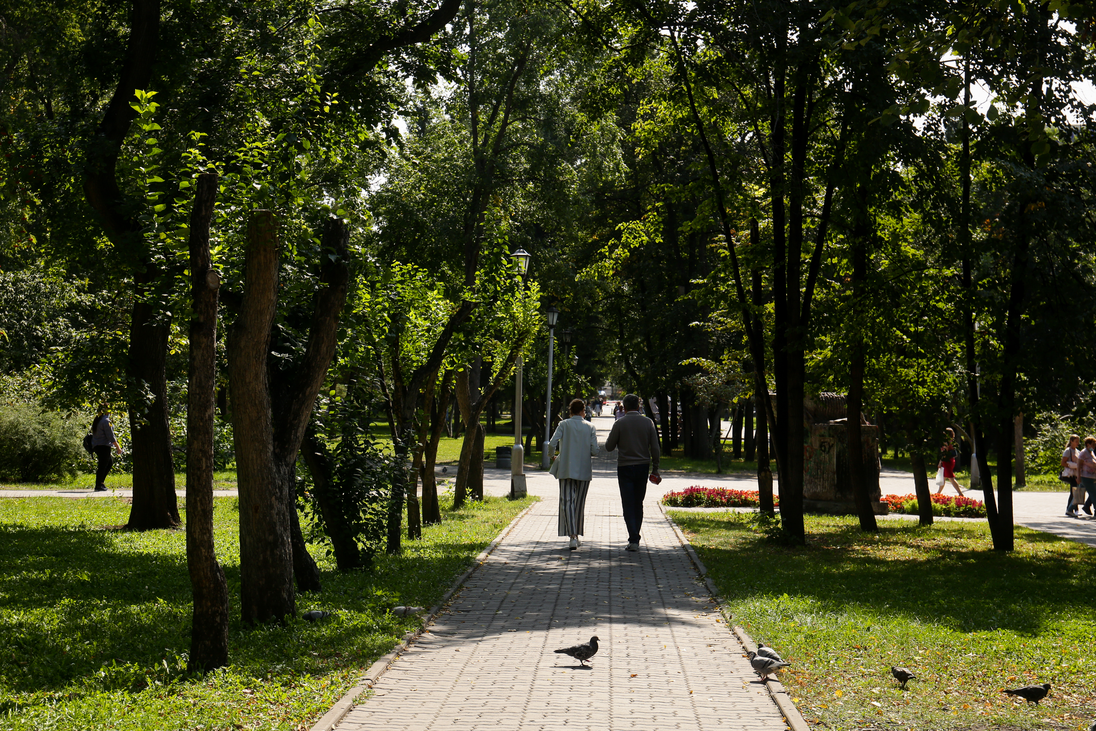 Первомайский сквер. Август 2021 года