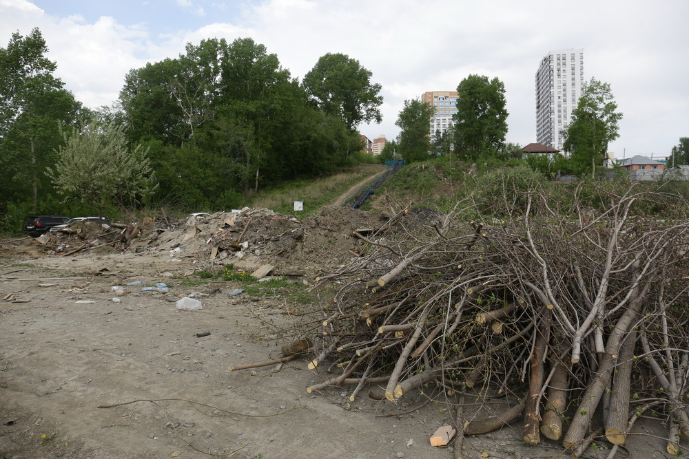 Территория будущего парка в пойме Каменки. Май 2022 года