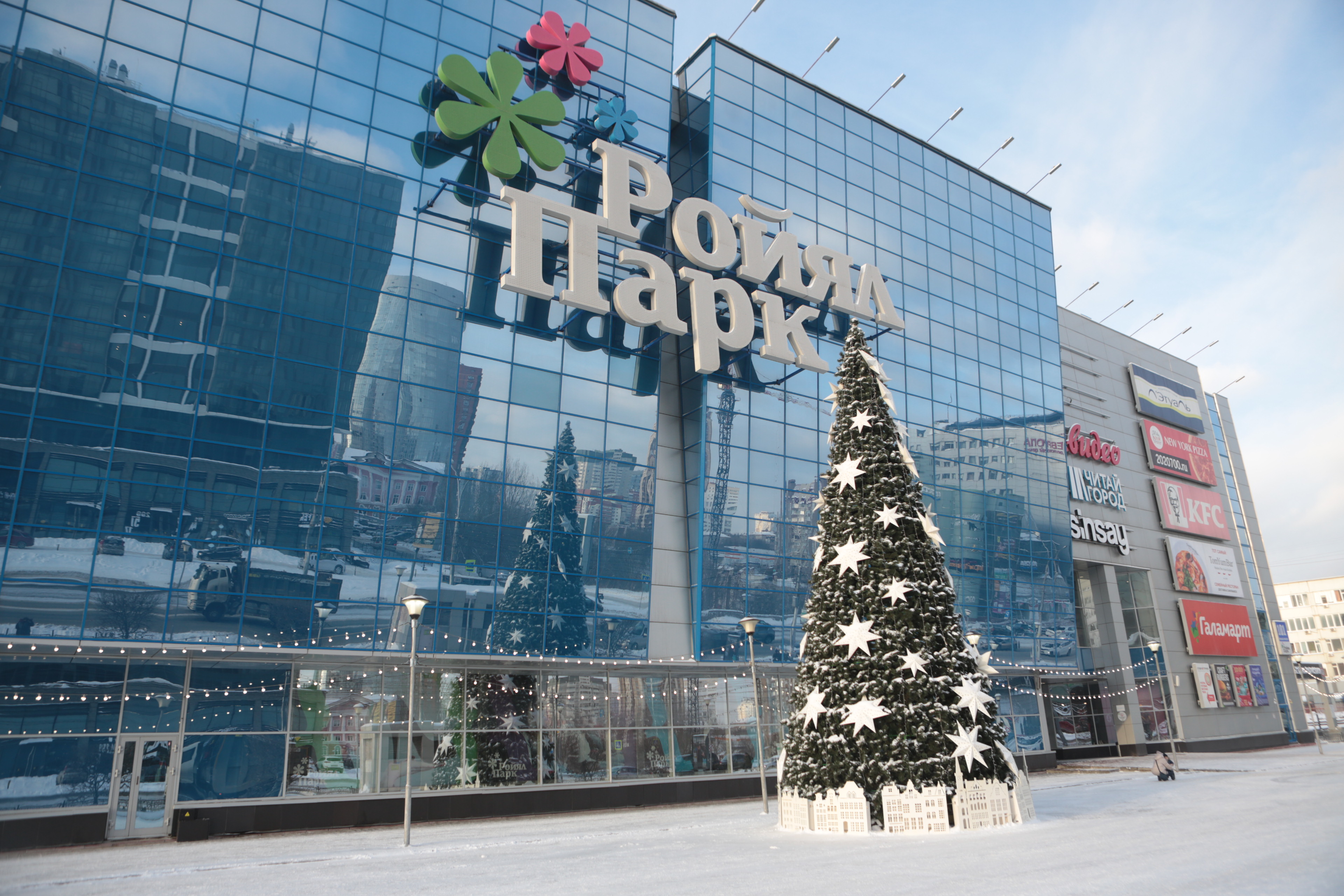 Ёлка у «Ройял Парка»