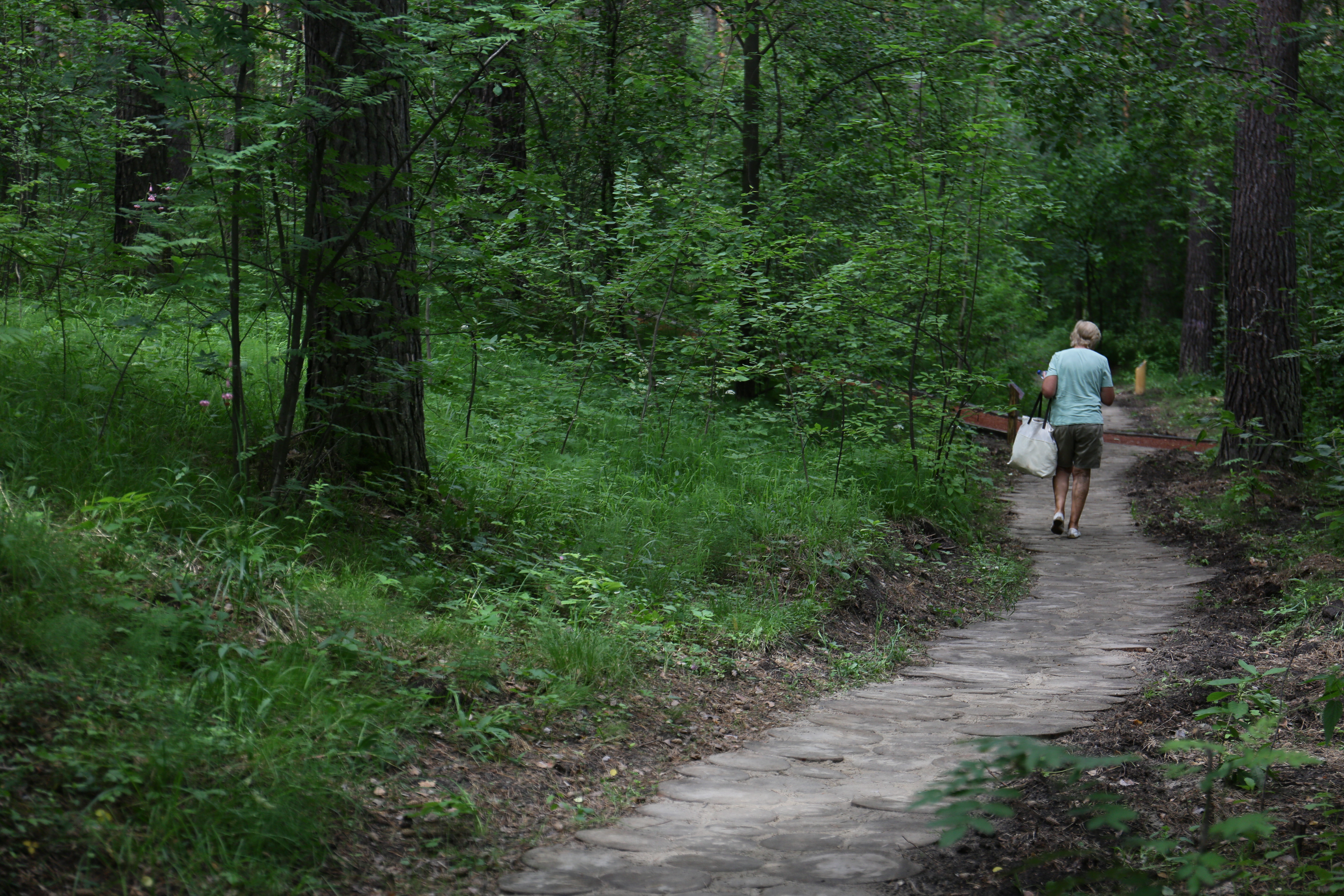 Заельцовский парк после реконструкции. Июнь 2022 года