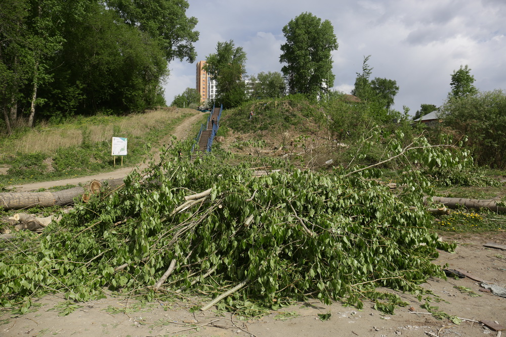 Территория будущего парка в пойме Каменки. Май 2022 года