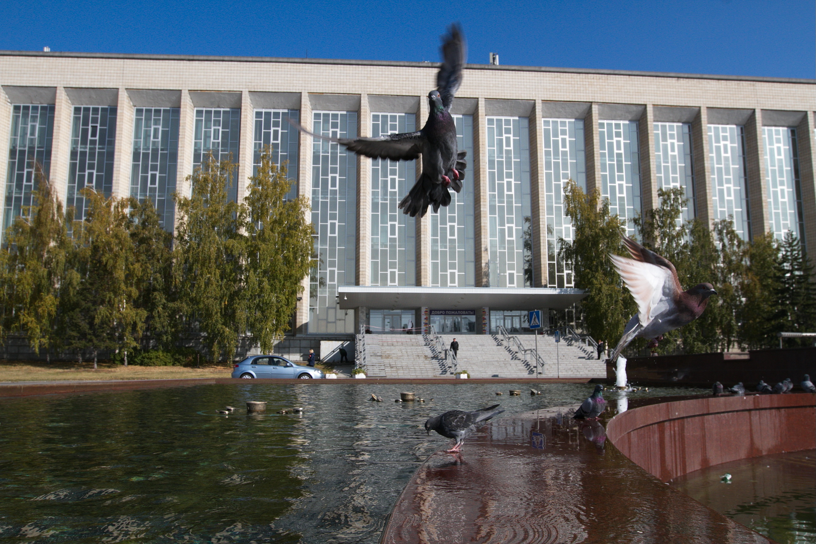 Государственная публичная научно-техническая библиотека
