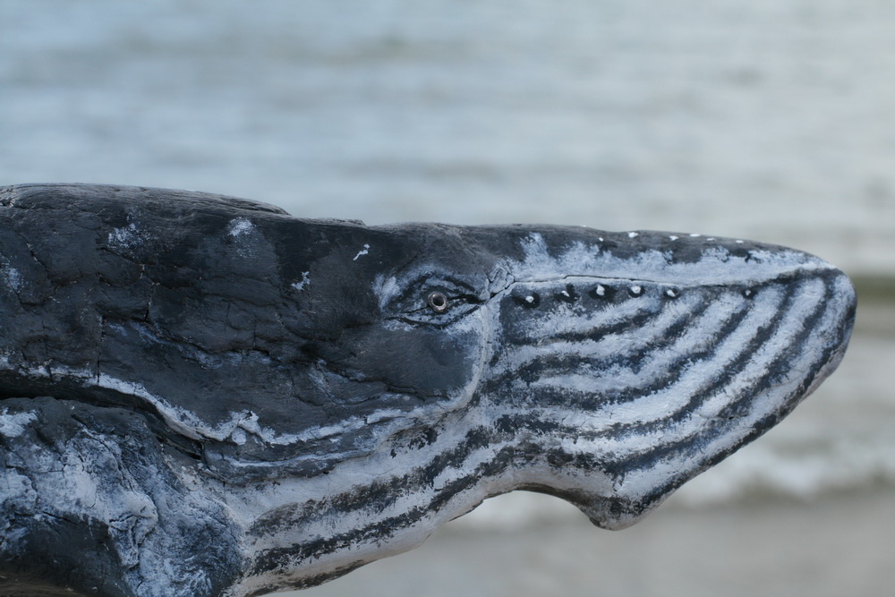 Сёрферский городок Виндтаун