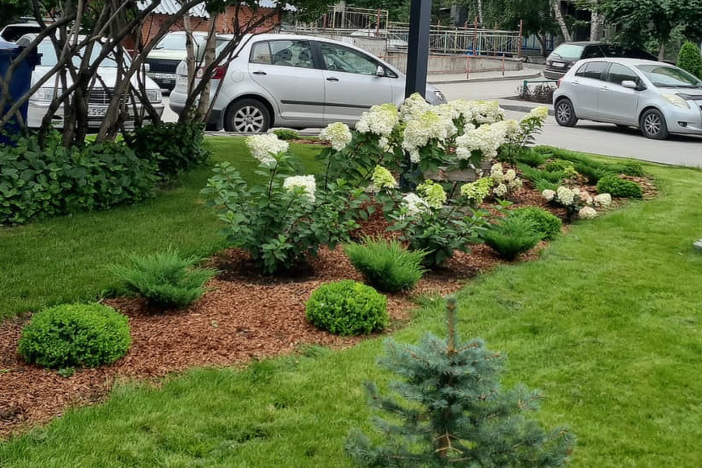 Горский микрорайон, 52 (Ленинский район)