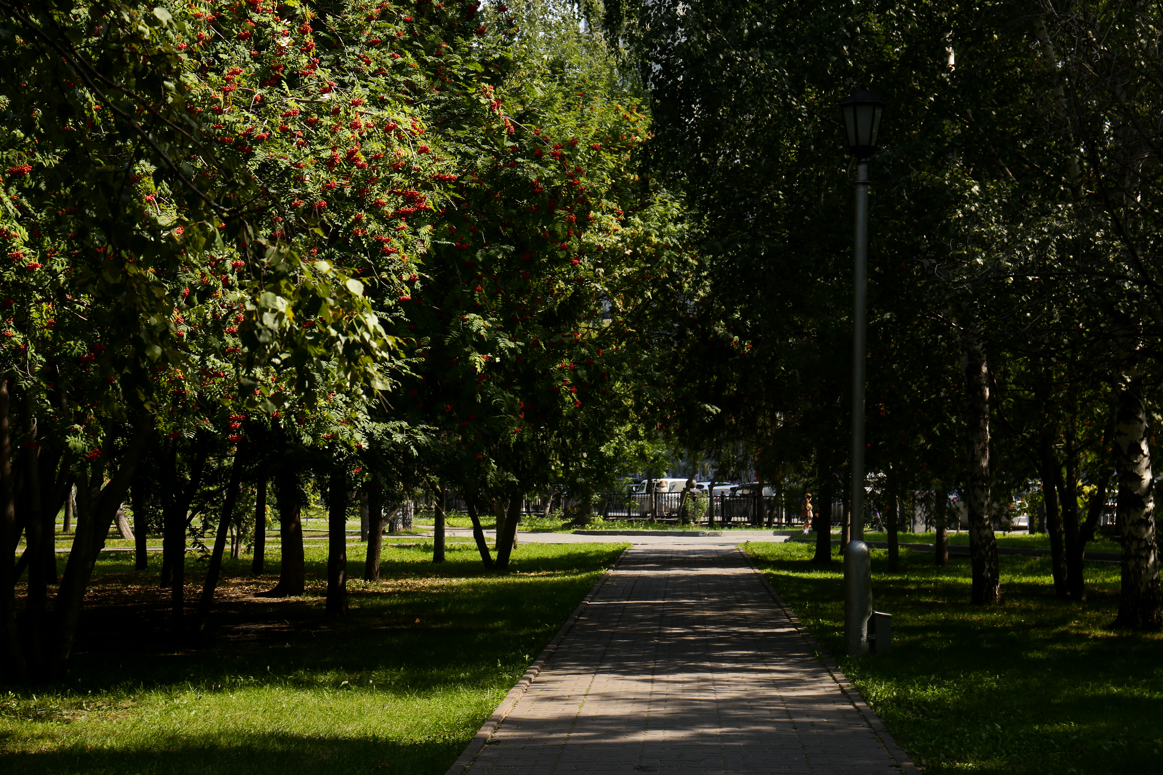 Первомайский сквер. Август 2021 года