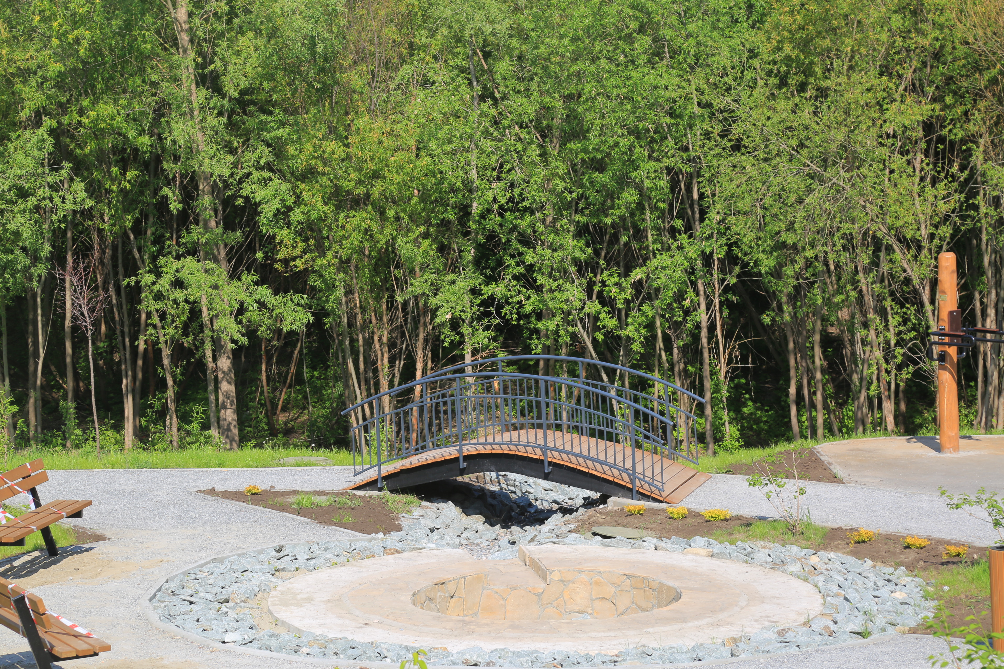 Ельцовский парк (июнь 2023 года)