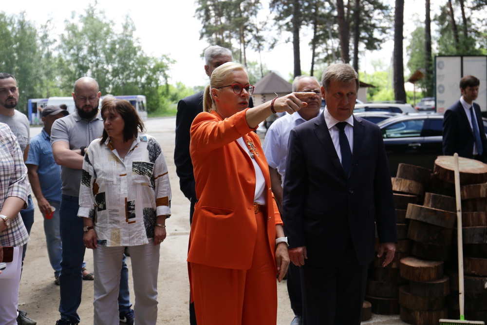 Заельцовский парк. Июнь 2022 года