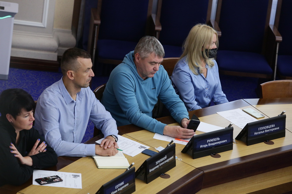 На заседании рабочей группы по водно-зелёному каркасу города